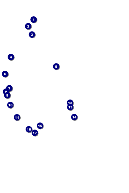 Boxing Poster Front Field Markers