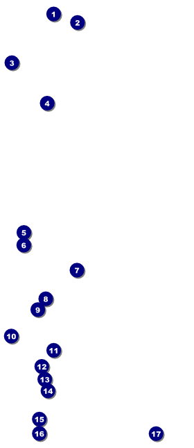 Magic Show VIP Pass Front Field Markers