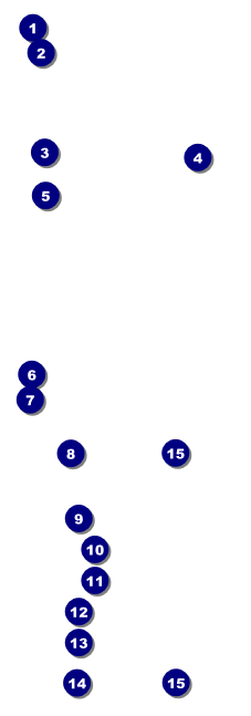 Walk Raffle Ticket Front Field Markers