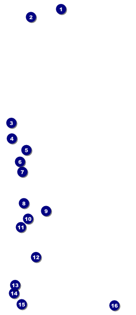 Classical Music VIP Pass Front Field Markers