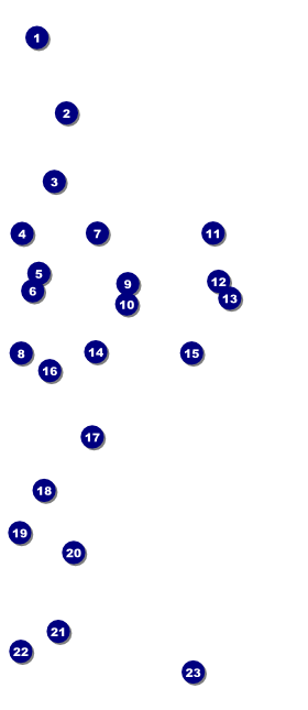 Class Reunion VIP Pass Front Field Markers