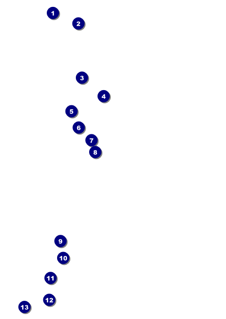 Alice in Wonderland Postcard Front Field Markers