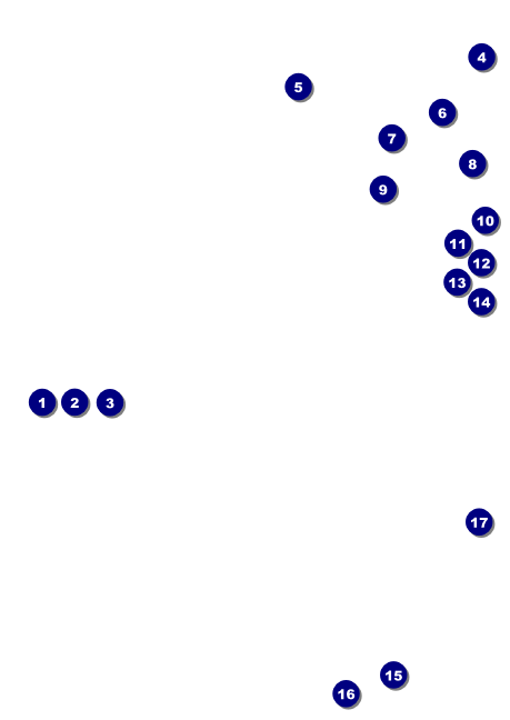 Toronto Club Flyer (Black & white) Front Field Markers