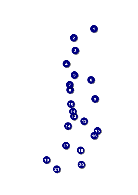 Cheerleading Spirit Club Flyer Front Field Markers