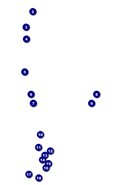 Carnival Monkey Club Flyer Front Field Markers